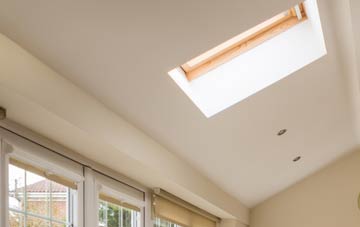 Ynus Tawelog conservatory roof insulation companies