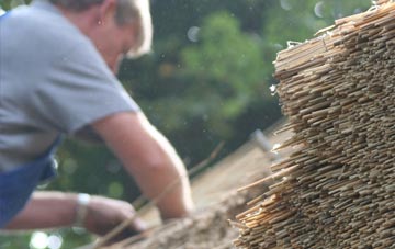 professional Ynus Tawelog thatchers