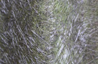 Ynus Tawelog fibreglass roof work