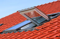Ynus Tawelog roof window